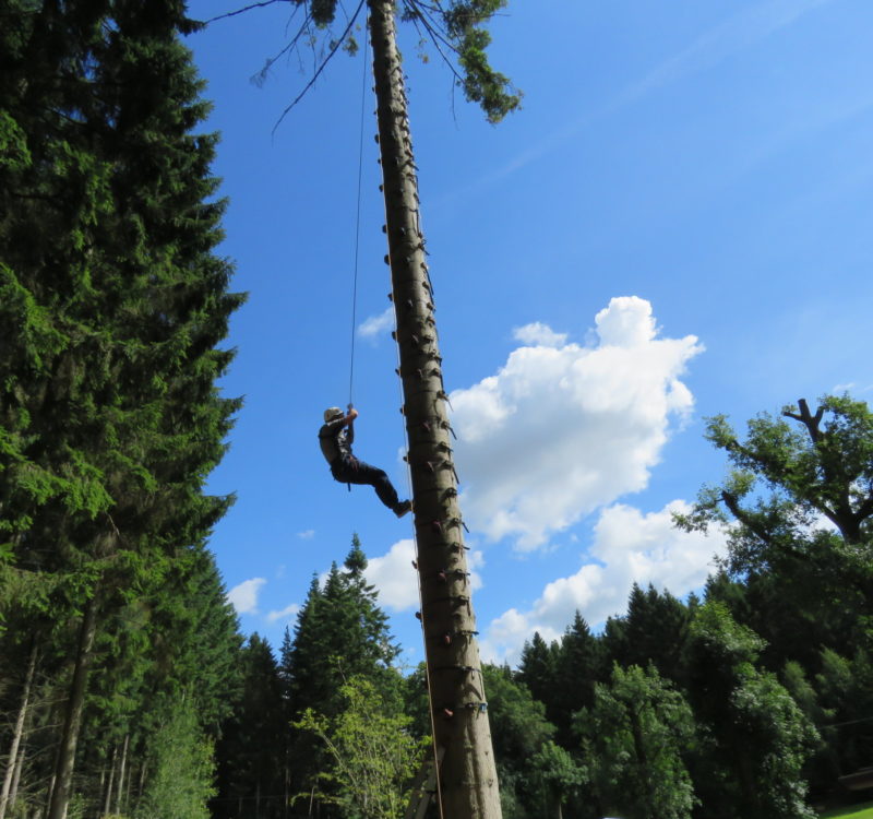 Monkey Climb